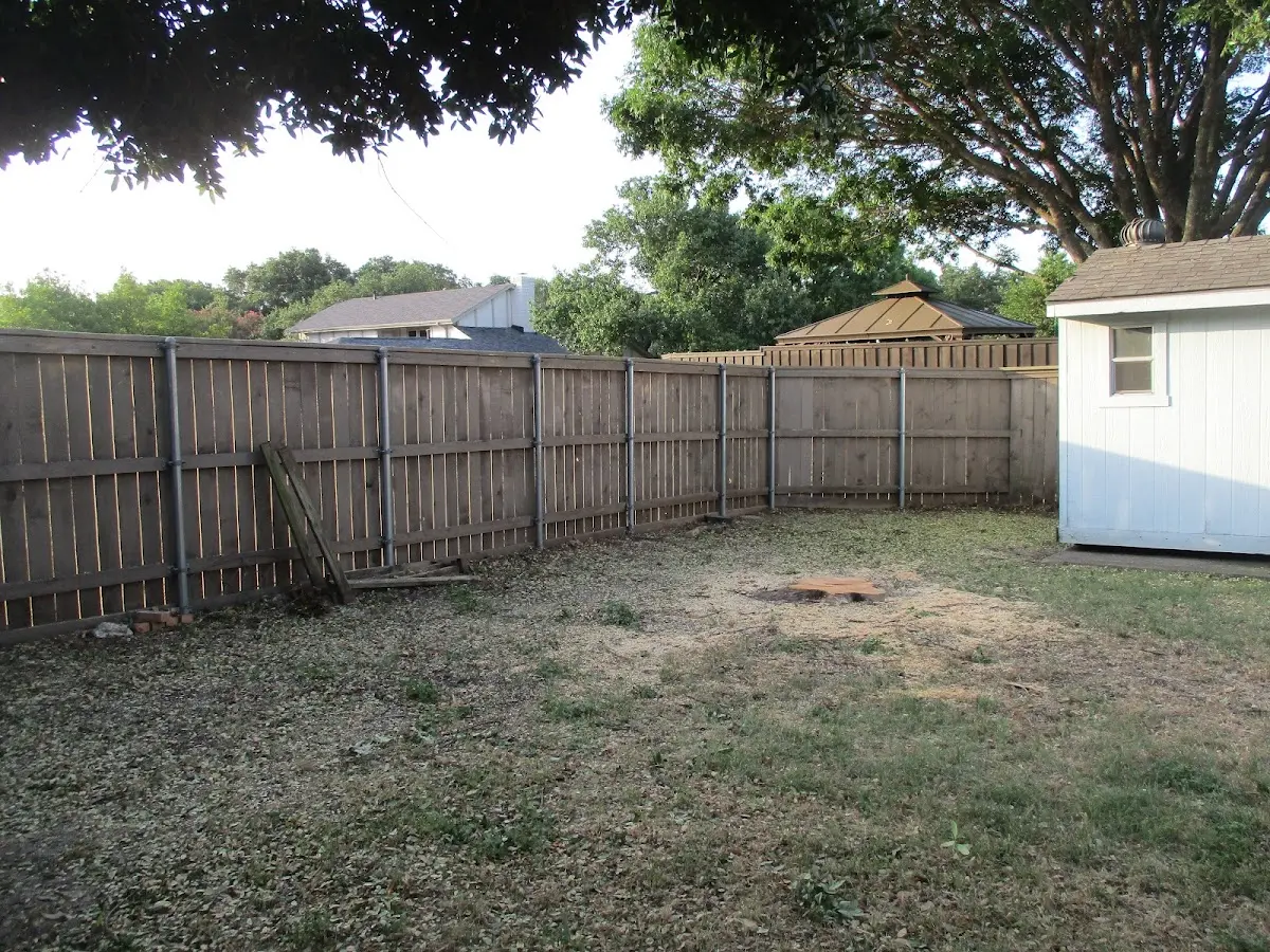 Cleared yard after professional tree removal in Saint Bonifacius